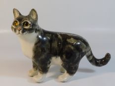 A Winstanley pottery cat, 8in high x 10.75in wide