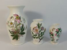 Three Portmeirion ware Botanic Gardens vases, tall