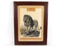 An oak framed picture titled "An Empires Grief" by Mac, June 5th 1916, letter on reverse from the ca