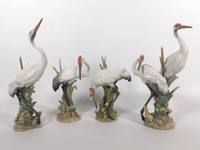 Four Lladro porcelain models of marshland cranes in reeds including a pair, unboxed, tallest 11.25in
