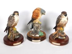 Two Royal Doulton models of a peregrine falcon, limited edition, 2281/2500 & 2083/2500, twinned with