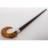 A gent's walking cane with carved horn handle depicting a ram's head & London silver collar, rubbed