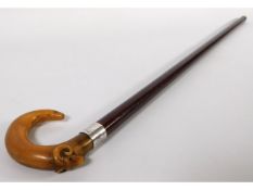 A gent's walking cane with carved horn handle depicting a ram's head & London silver collar, rubbed