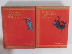 Book: Vols I & II, Outline of British Nature