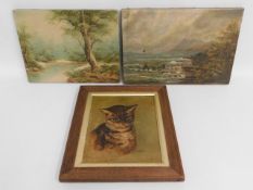 Two antique oil on canvas landscapes signed Cafier