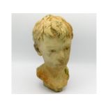 Garden find: a terracotta bust of boys head, 11in