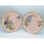 A pair of 19thC. Royal Crown Derby Aesthetic Movement plates with hand painted flora & butterflies o