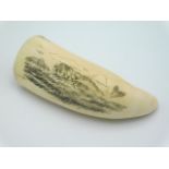 A small Victorian worked sperm whale tooth etched
