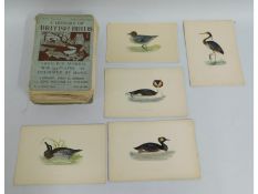 A quantity of History of Birds booklets by Rev. F.