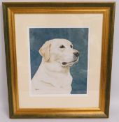 A watercolour painting of Labrador titled 'Alice',