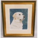 A watercolour painting of Labrador titled 'Alice',