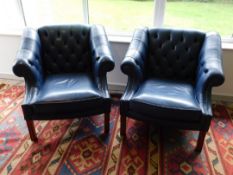 Tremaine Manor House: A pair of slate blue leather