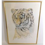 Maria Moreschi watercolour of tiger, image size 29