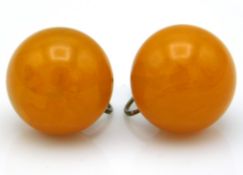 A pair of early 20thC. butterscotch amber earrings