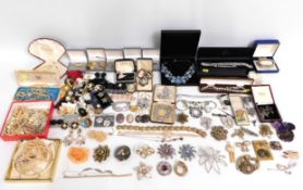 A large quantity of costume jewellery including 19