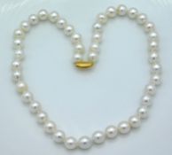 A 17in long pearl necklace with a 14ct gold clasp,