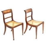 Pair of Regency dining chairs with cane seats