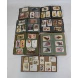 Quantity of early 20th Century postcard albums,