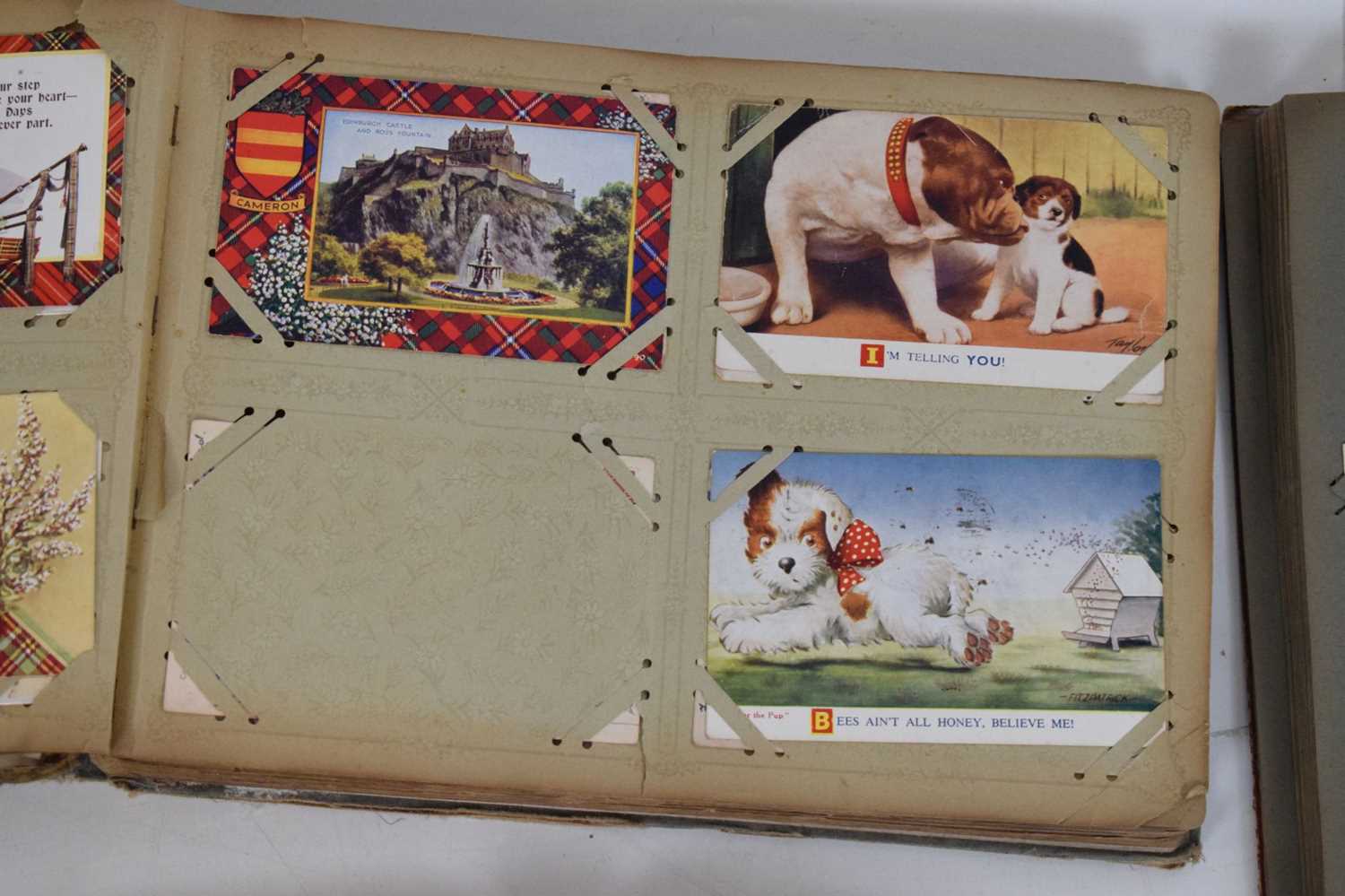 Quantity of early 20th Century postcard albums, - Image 12 of 17