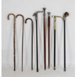 Quantity of novelty walking sticks