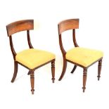 Pair of Regency dining chairs