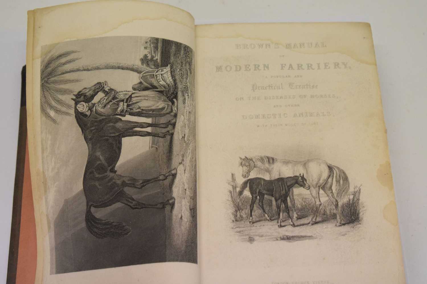 Brown, Thpmas, M.P.S. - 'Manual of Modern Farriery' - Image 2 of 8
