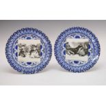 Pair of Royal Doulton transfer printed plates
