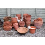 Group of terracotta flowerpots