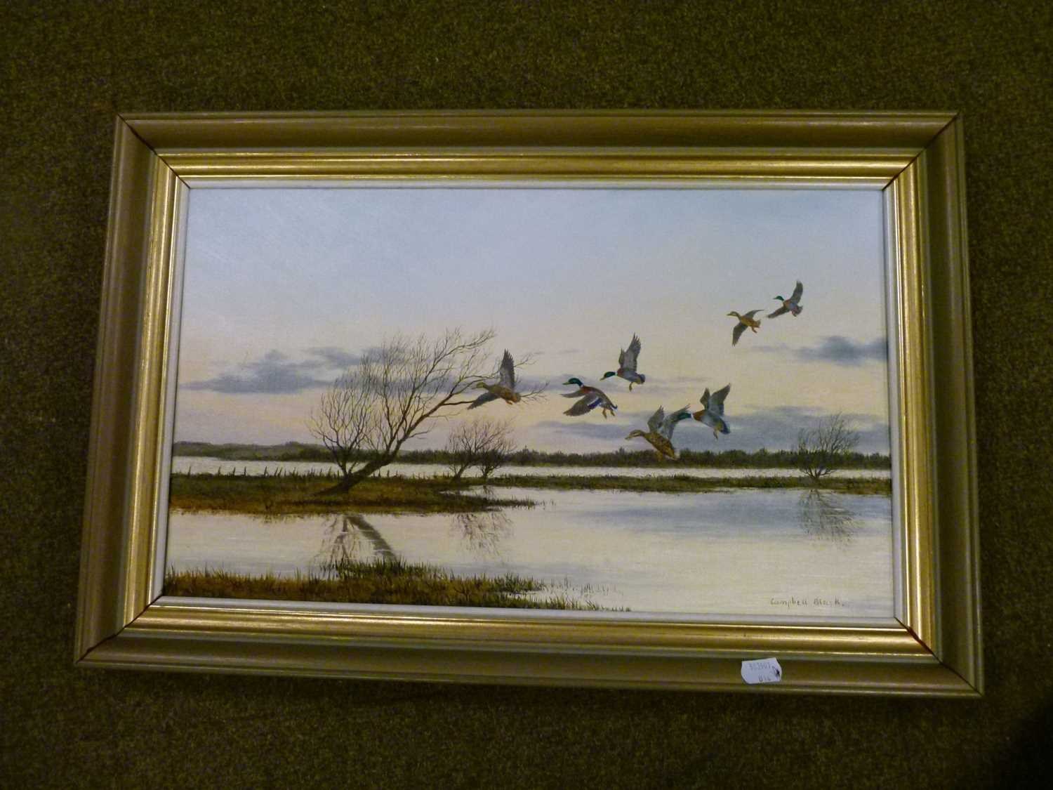 Campbell Black - Oil on canvas – Ducks in flight 2 - Image 5 of 6