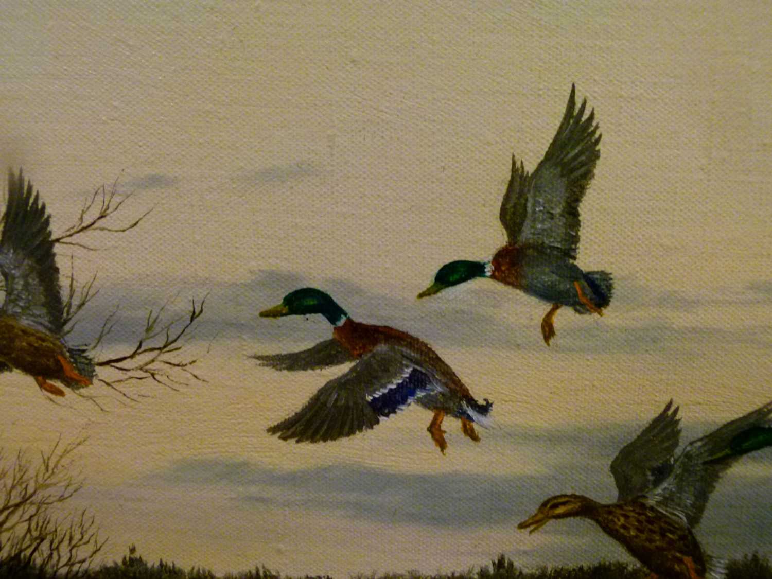 Campbell Black - Oil on canvas – Ducks in flight 2 - Image 3 of 6