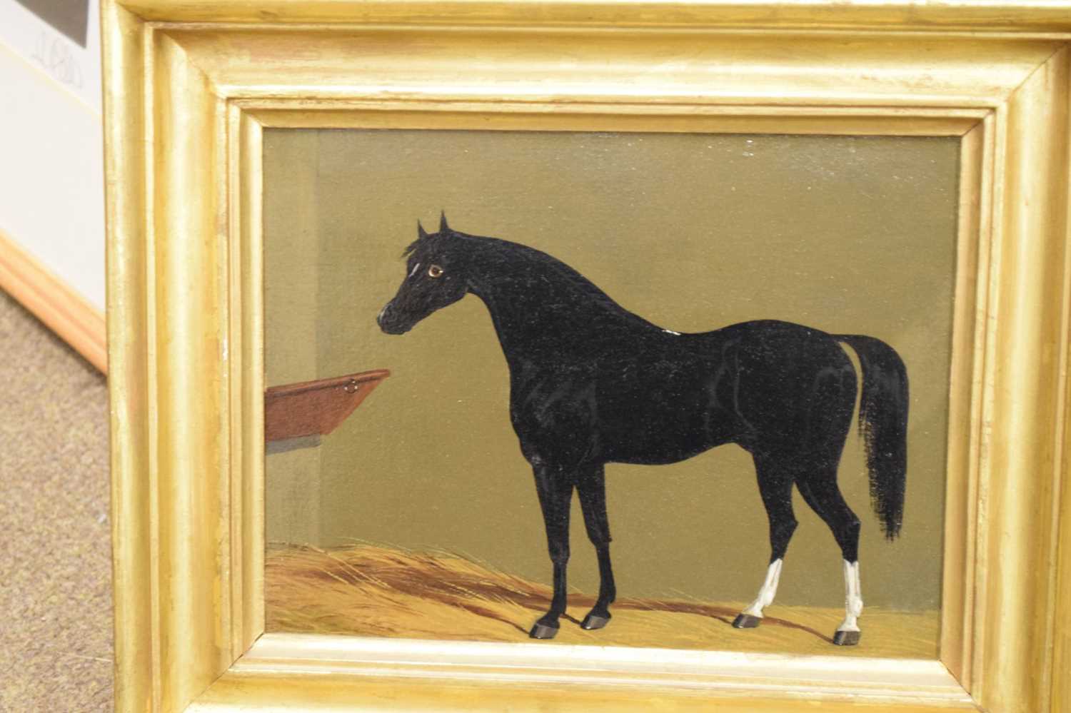 19th Century primitive style oil on panel - Study of a horse - Image 4 of 4