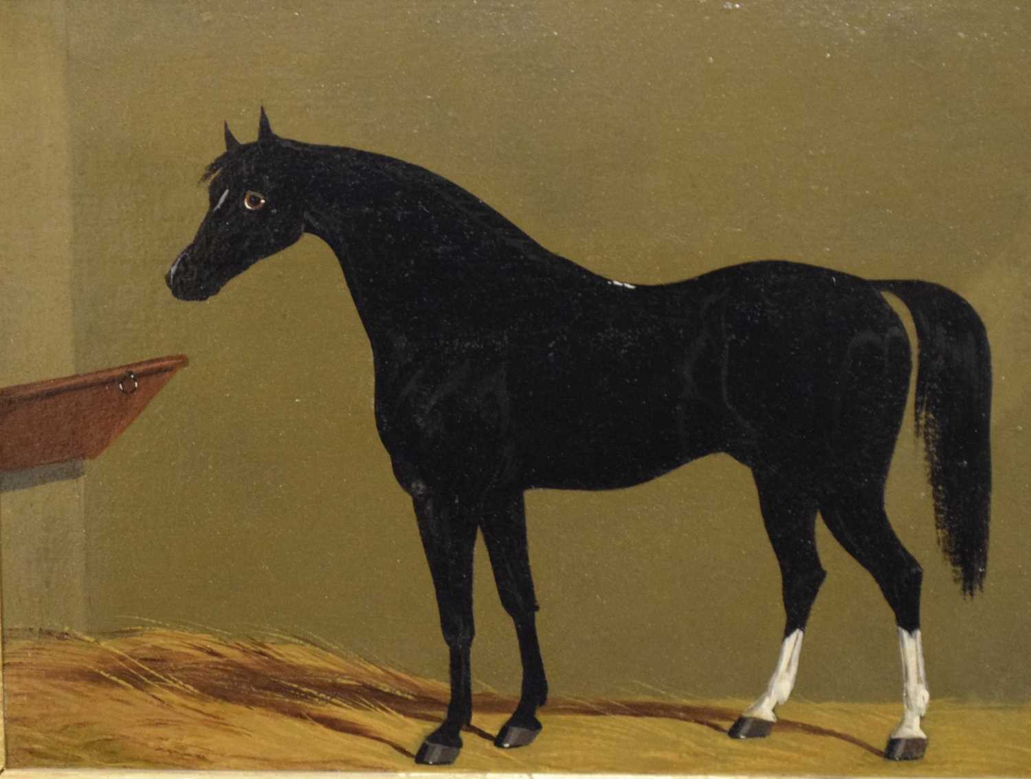 19th Century primitive style oil on panel - Study of a horse