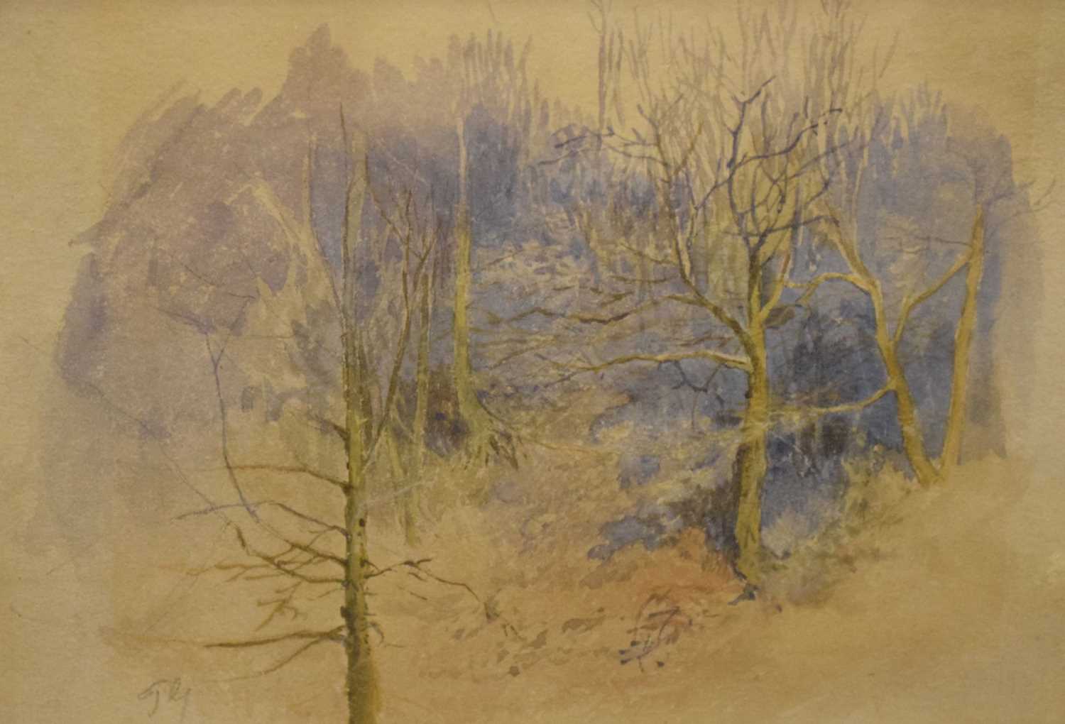 Watercolour study of wooded landscape signed 'TY', together with soft point etching of horse jumping