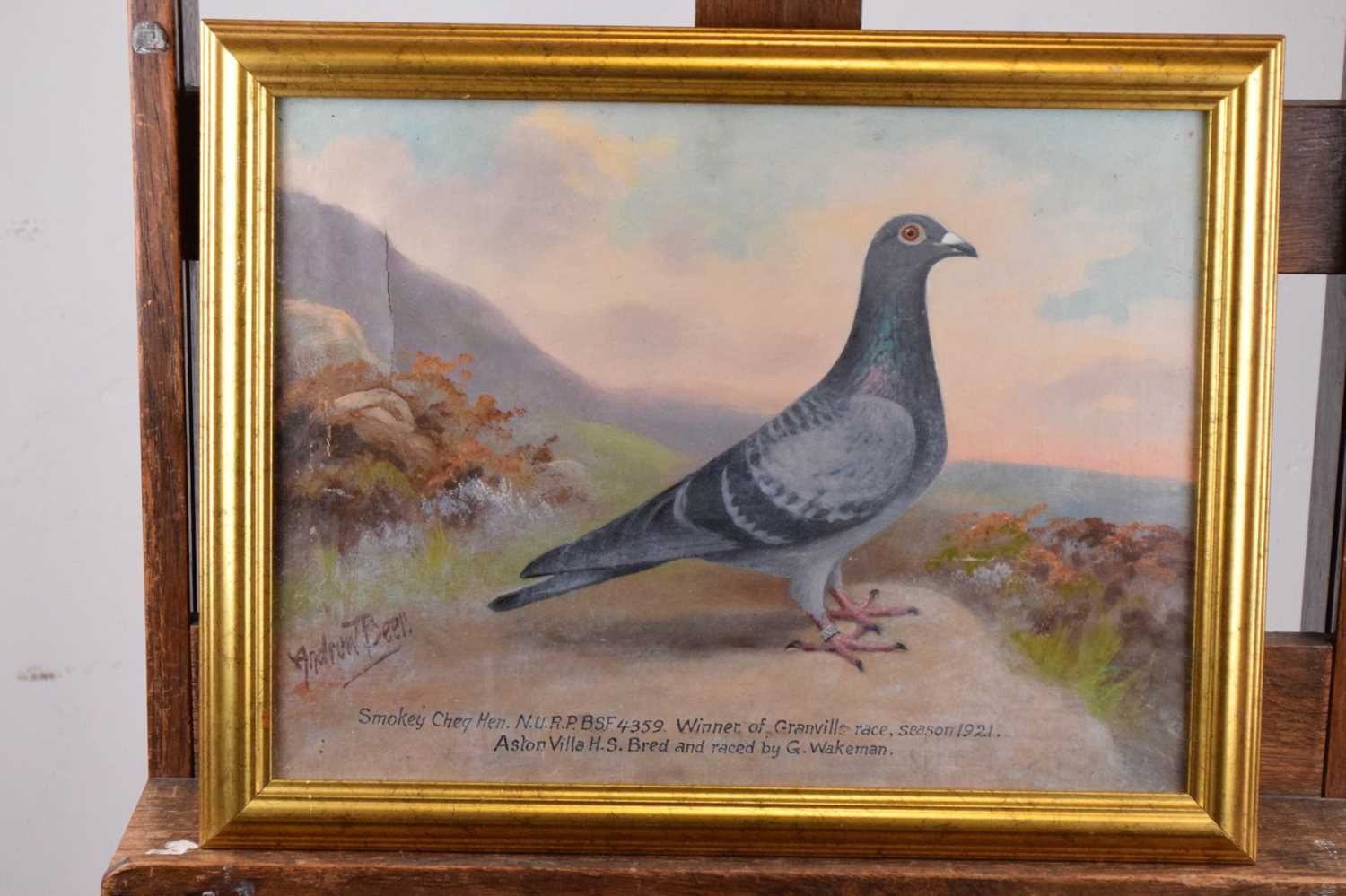 Andrew Beer (1862-1954) - Oil on canvas - Study of Racing Pigeon - Image 9 of 9