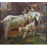 Johanna van Eysinga (1881-1951) oil - Study of a goat and kids in barn, signed lower right