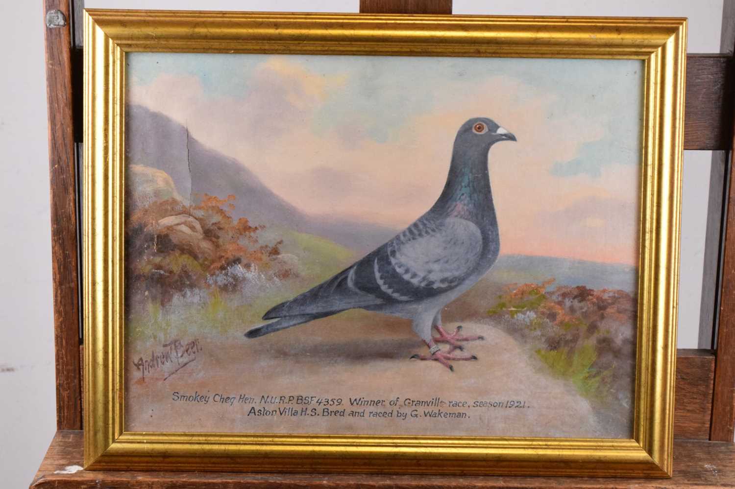 Andrew Beer (1862-1954) - Oil on canvas - Study of Racing Pigeon - Image 2 of 9