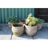 Pair of terracotta garden pots together with a set of three garden planters