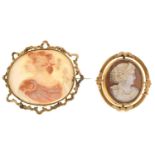 Two shell cameo brooches