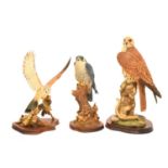 Three resin models of falcons