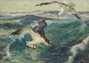 Vernon Ward (1905-1985) - Oil on board - Seagulls in flight above a stormy sea