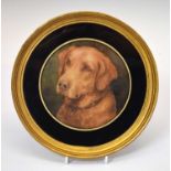 Florence Jay, (fl. 1905-1920) - Watercolour - Study of a Golden Labrador dog