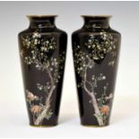 Pair of Japanese Meiji period cloisonné vases