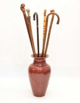 Collection of walking sticks and canes