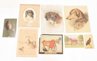 Small group of unframed 19th century and later animal and bird studies