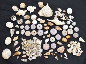 Quantity of sea shells