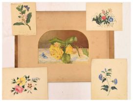 Group of unframed 19th century and later flower studies