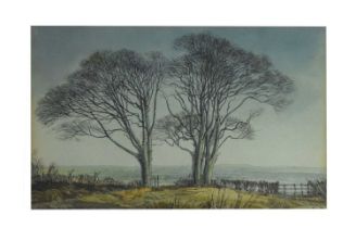 Cavendish Morton (1911-2015) - Watercolour - 'Beech Trees, Mersley Down'