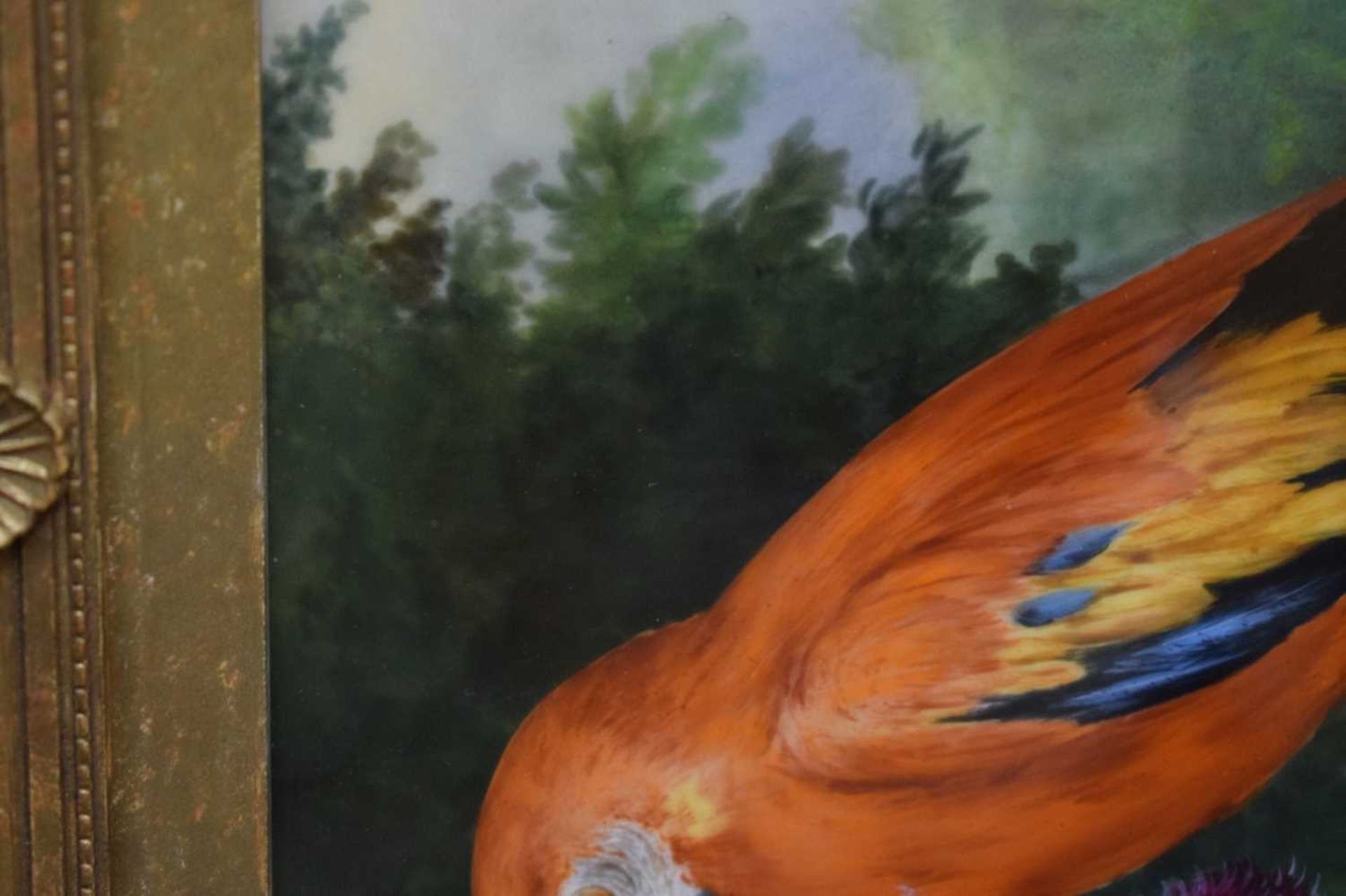 Follower of Jacob Bogdani - Painted plaque - Scarlet Macaw - Image 4 of 13