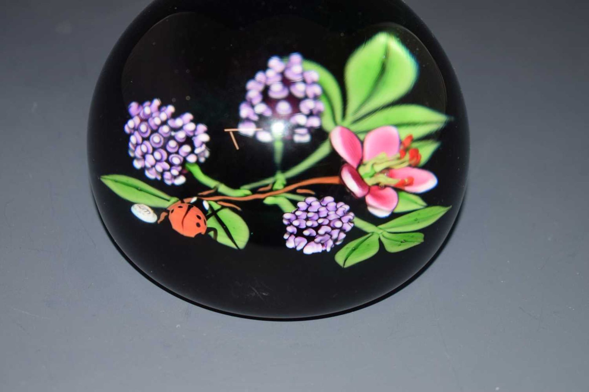 William Manson (Scottish) - Limited edition glass paperweight - Image 4 of 9