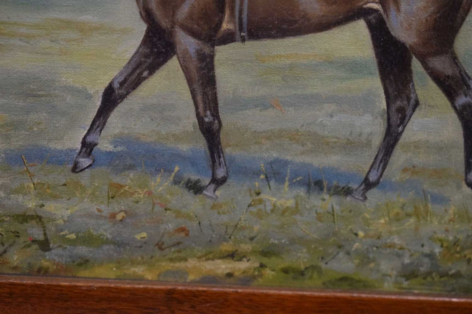 Algernon Thompson (1880-1944) - Oil on canvas - Bahram, a racehorse - Image 10 of 15